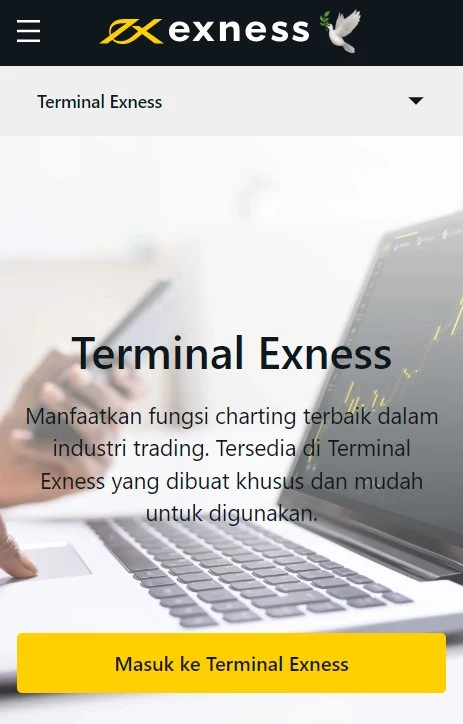 Terminal Exness.